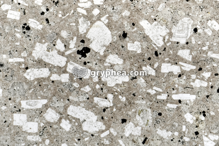 Andésite LPNA x3 - gryphea.org